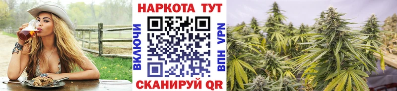 Как найти наркотики Тетюши Псилоцибиновые грибы  АМФ  Конопля  Гашиш  Метамфетамин  Cocaine 