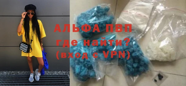 молекула духа Пестово