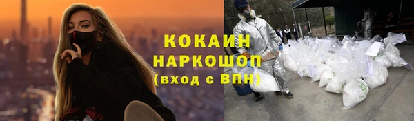 молекула духа Пестово