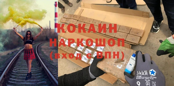 молекула духа Пестово