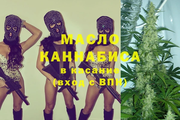 молекула духа Пестово