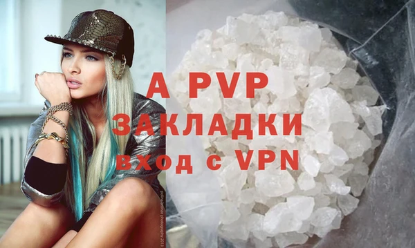 молекула духа Пестово