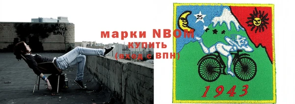молекула духа Пестово