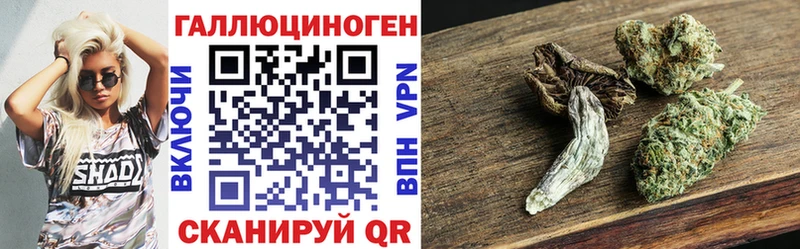 Псилоцибиновые грибы Psilocybe  Тетюши 
